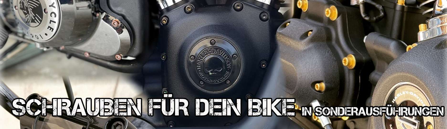 SCHRAUBEN FÜR DEIN BIKE IN SONDERAUSFÜHRUNGEN - HARLEY, INDIAN, TRIUMPH SCHRAUBEN FÜR DEIN BIKE IN SONDERAUSFÜHRUNGEN - HARLEY, INDIAN, TRIUMPH